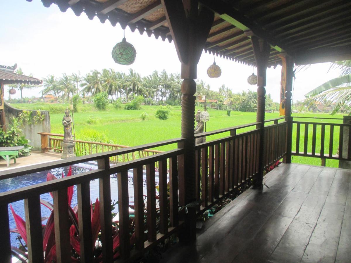 Green Paddy Hostel & Villa Ubud Kültér fotó