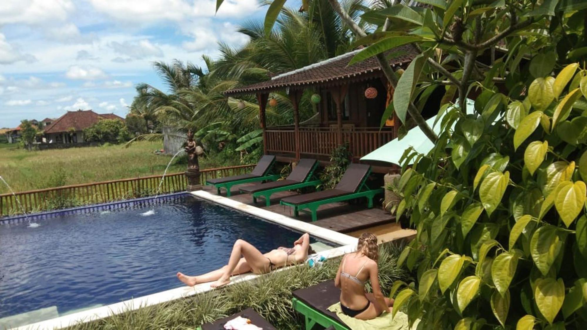 Green Paddy Hostel & Villa Ubud Kültér fotó