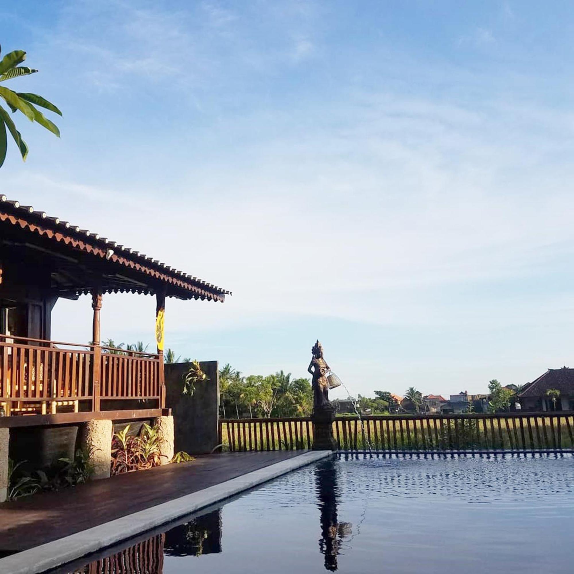 Green Paddy Hostel & Villa Ubud Kültér fotó